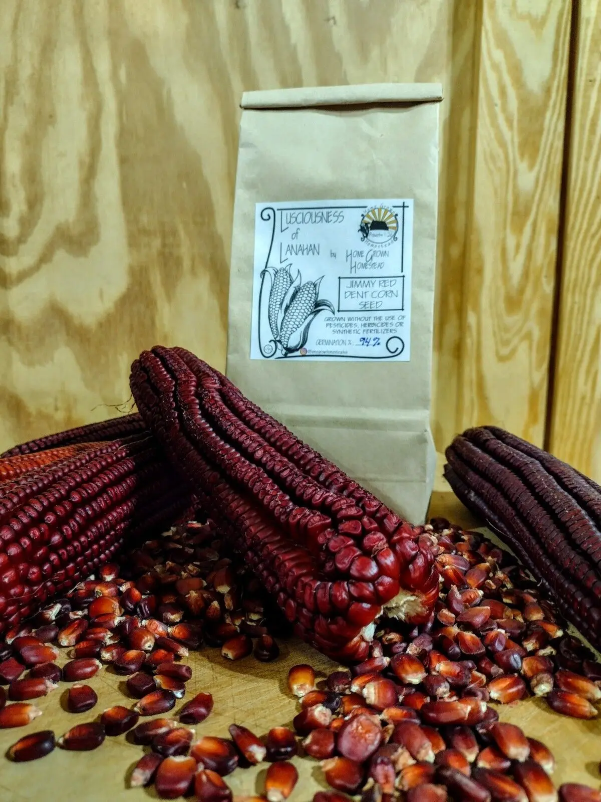 Organic Premium Grade 1 Yellow Maize Dried Corn Popcorn White Corn Sweet Corn for Human Consumption High Temperature Sterilized