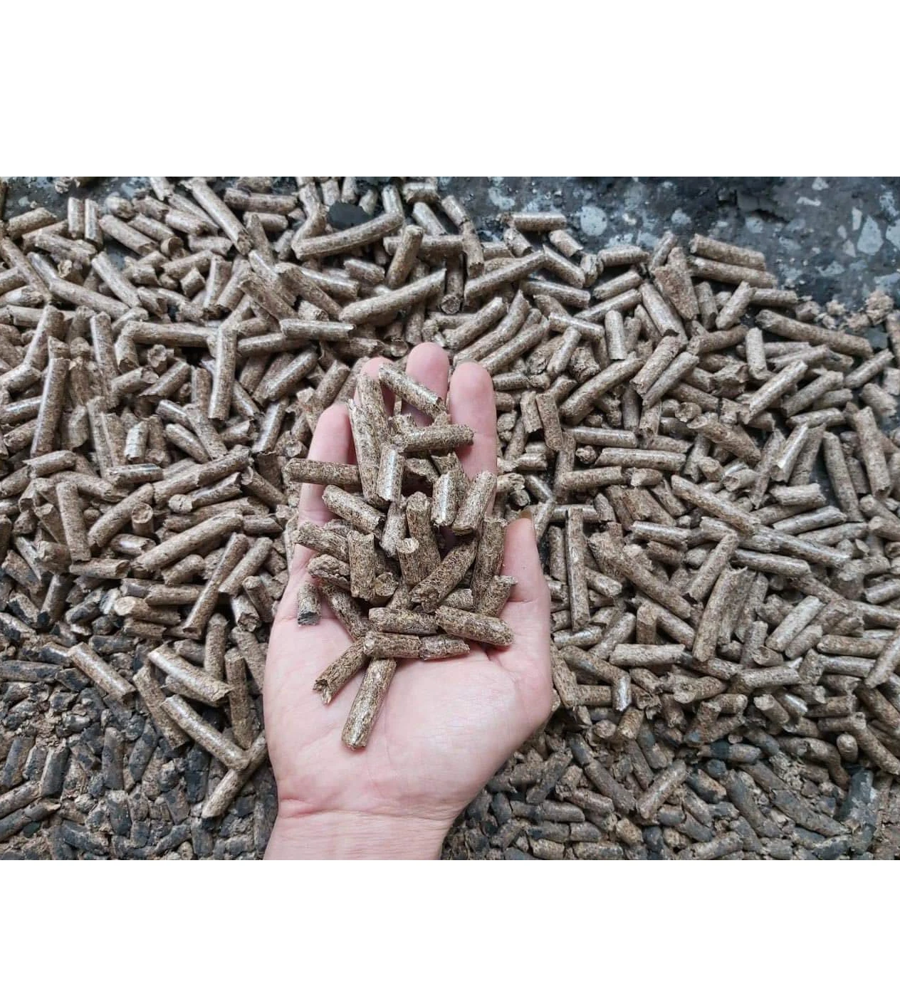 Hot Sale 2023 Biomass Pellet Fuel Natural Pine Wood Pellets High ...