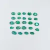 Vivid Green
