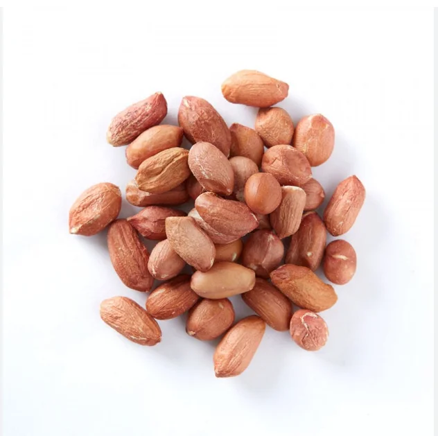 Best Price Natural Peanut Groundnut Bulk Product From Thailand  Natural Raw peanuts for Food