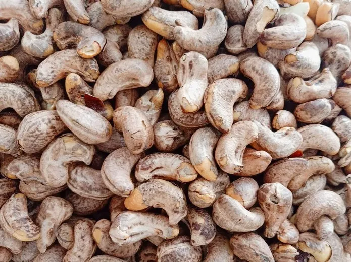 CHEAP PRICE CASHEW NUT MADE IN VIETNAM