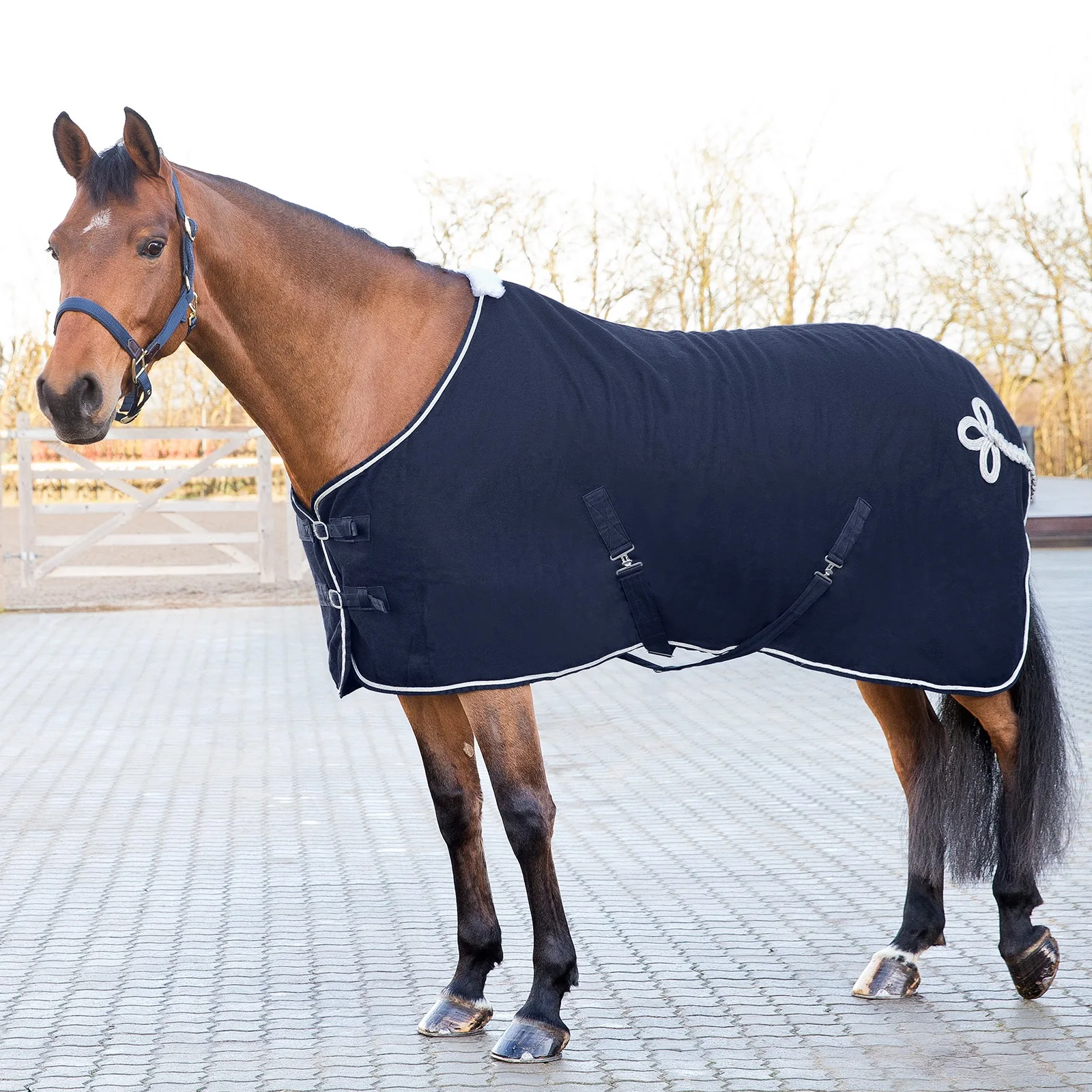 Horse Winter Rugs / Wool Horse Rugs Horse Blanket Buy Wool Horse Rug
