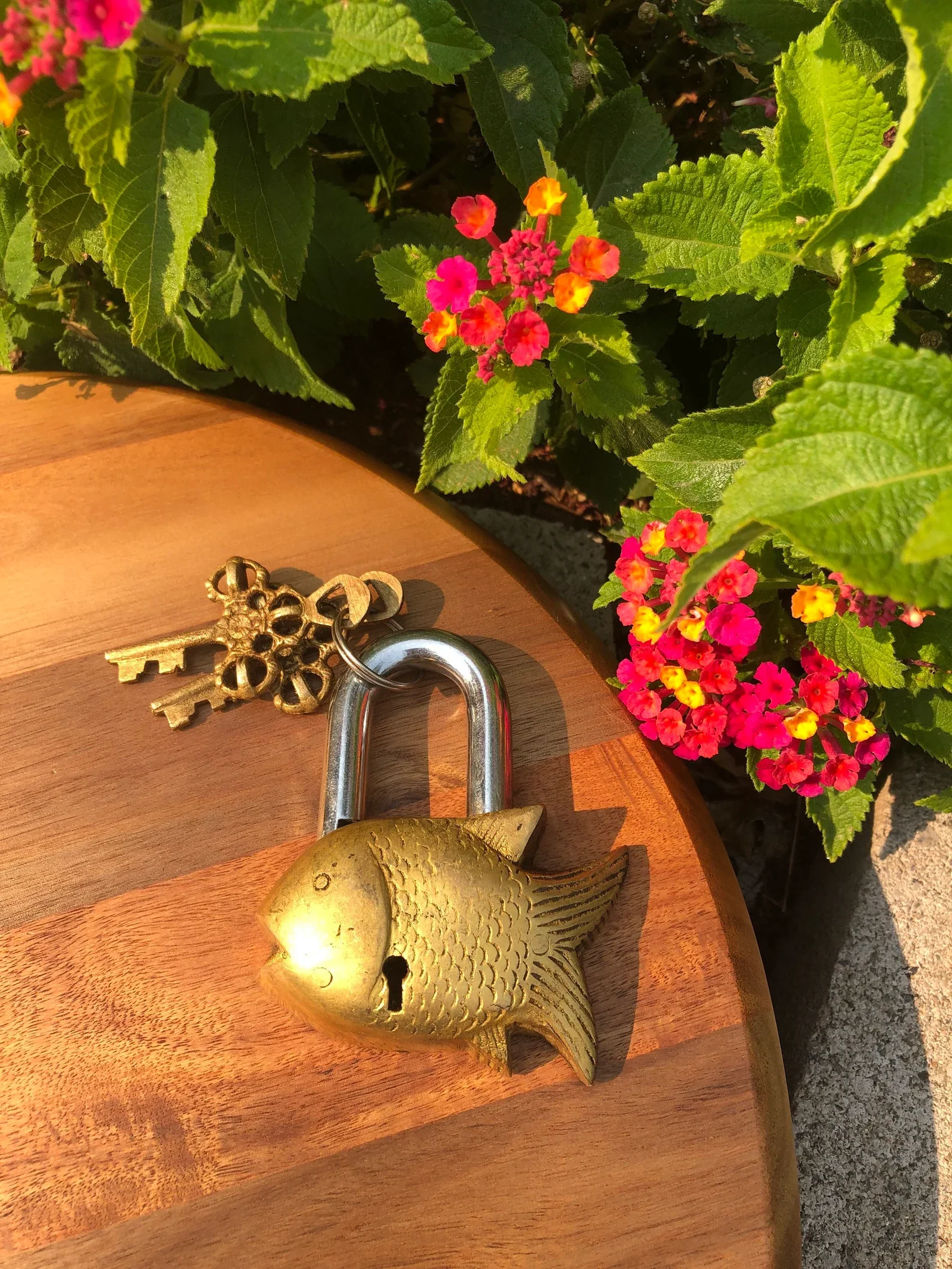 Old European Design Padlock Sea Captain Lock Old Style Padlock Medieval & Western Collections, Fully Functioning Brass Lock