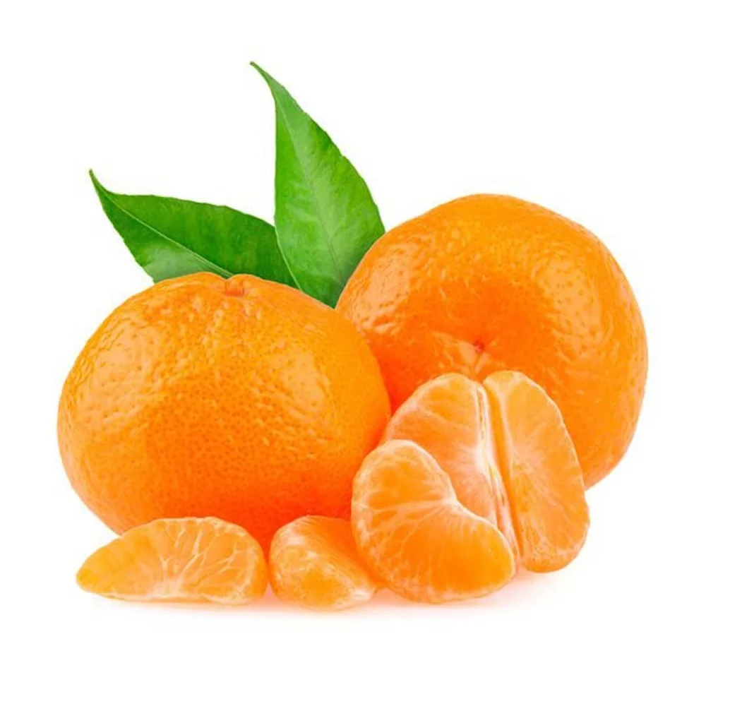 Fresh "kinnow" Mandarin Orange Malta Citrus From Pakistan Buy Fresh