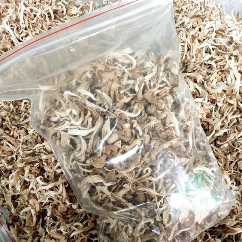 Wholesale Dried Oyster Mushroom With Competitive Price From Vietnam