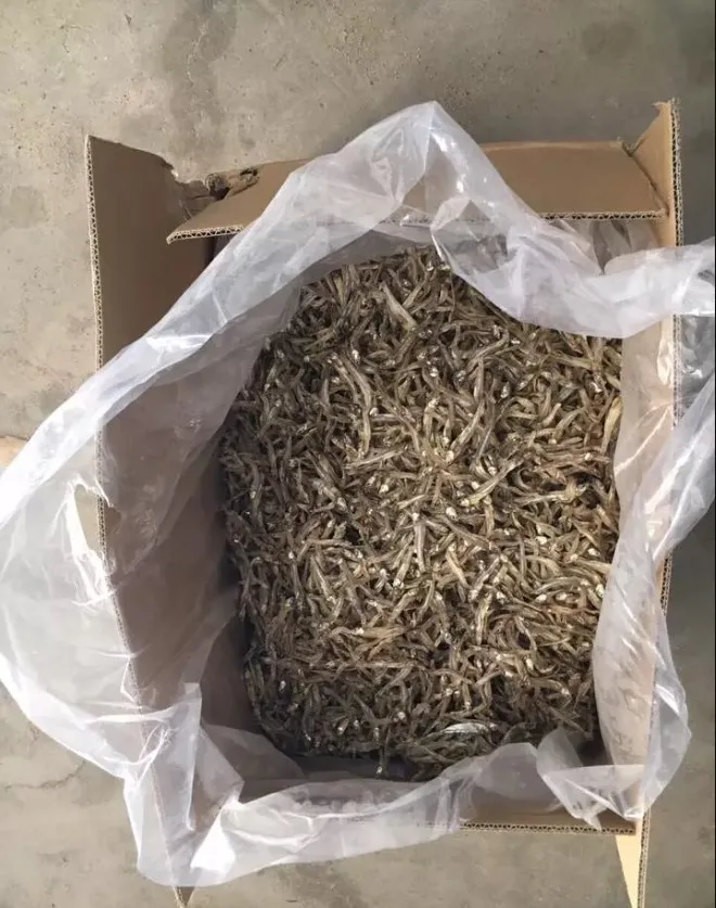 High Very Dry Fish Silver Line Dried Anchovy Sprats Golden Colour