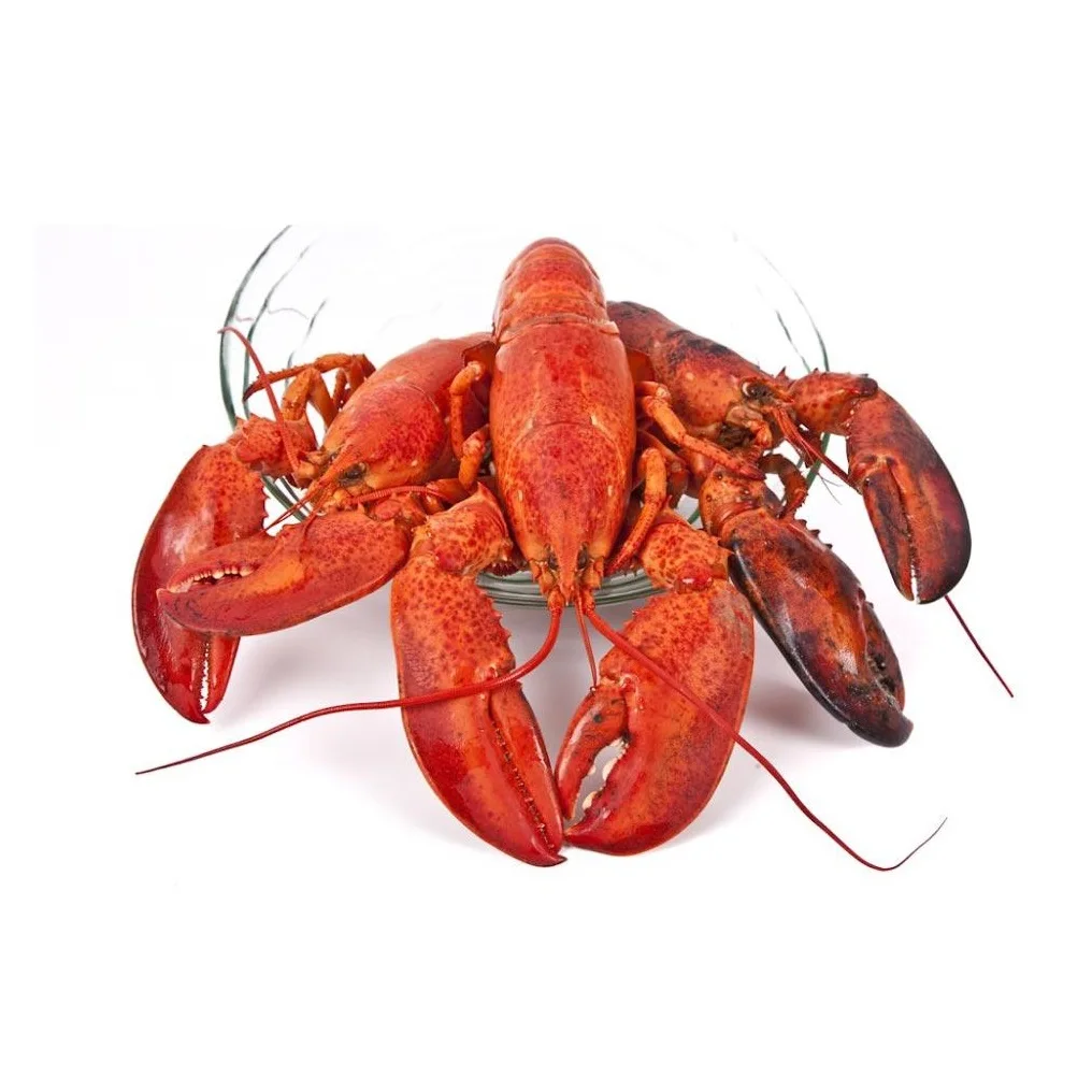 Lobster Canada Whole Cooked - Size 350g-400g