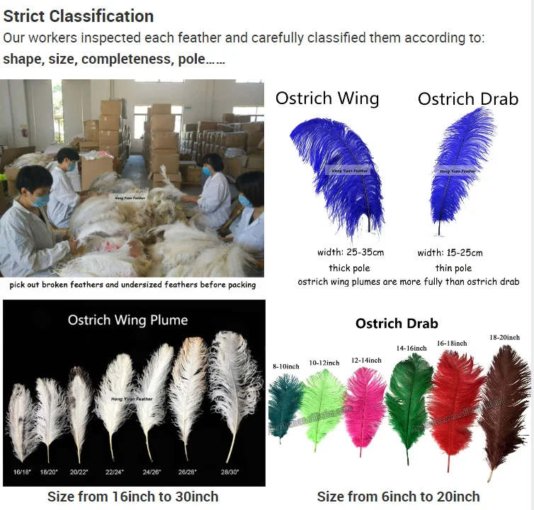 wholesale 60-65cm ostrich plume bulk wings