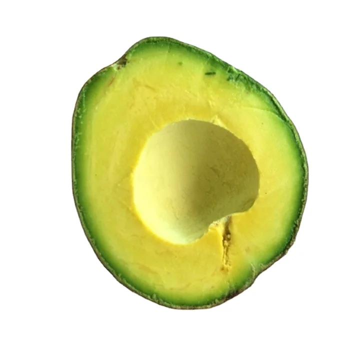 High Quality Fresh Fruit Avocados Available for Sale at Low Price