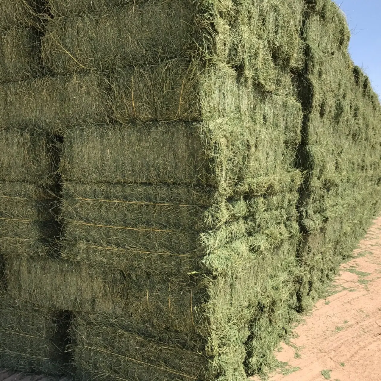 Natural Cattle Alfalfa Hay Animal Feed For Sale Buy Alfalfa Hay,Bulk Cattle Feed Sweet Feed