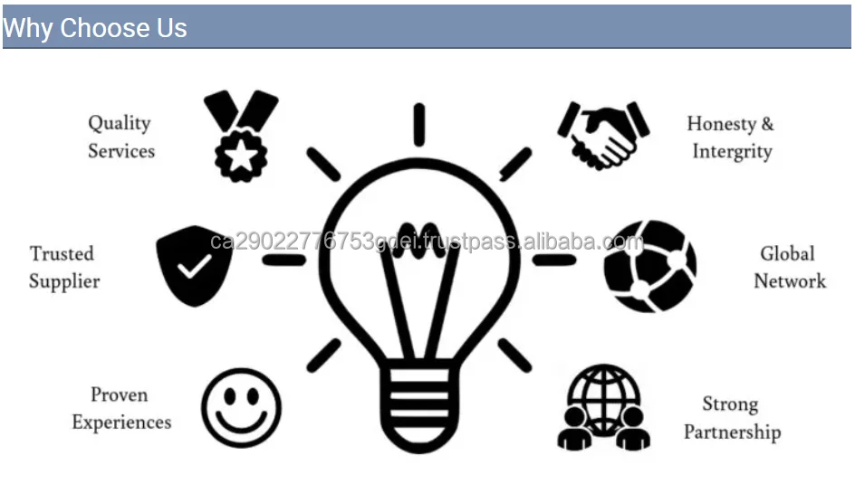 Mix Women's Summer Clothes From Canada/ Europe Fashion Clothes Wholesale For Women Clothes Buy