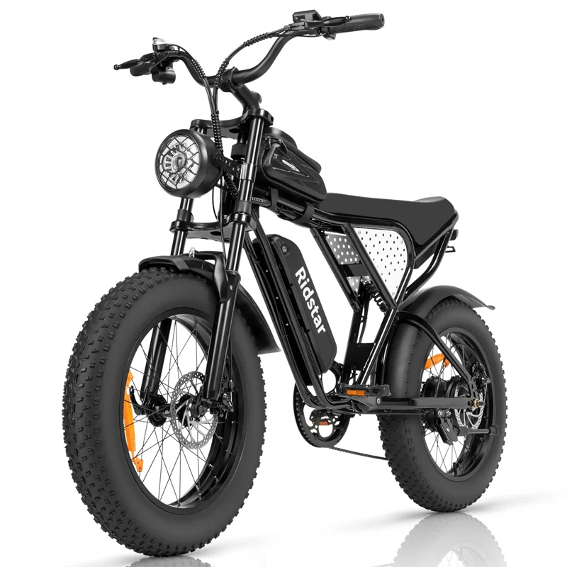 RIDSTAR Q20 20" Fat Tires Electric Mountain Bike 500W Motor 48V 15Ah Battery Max Speed 48km/h