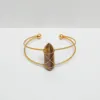 Tiger Eye