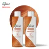 Sunrise Orange