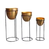 Brass
