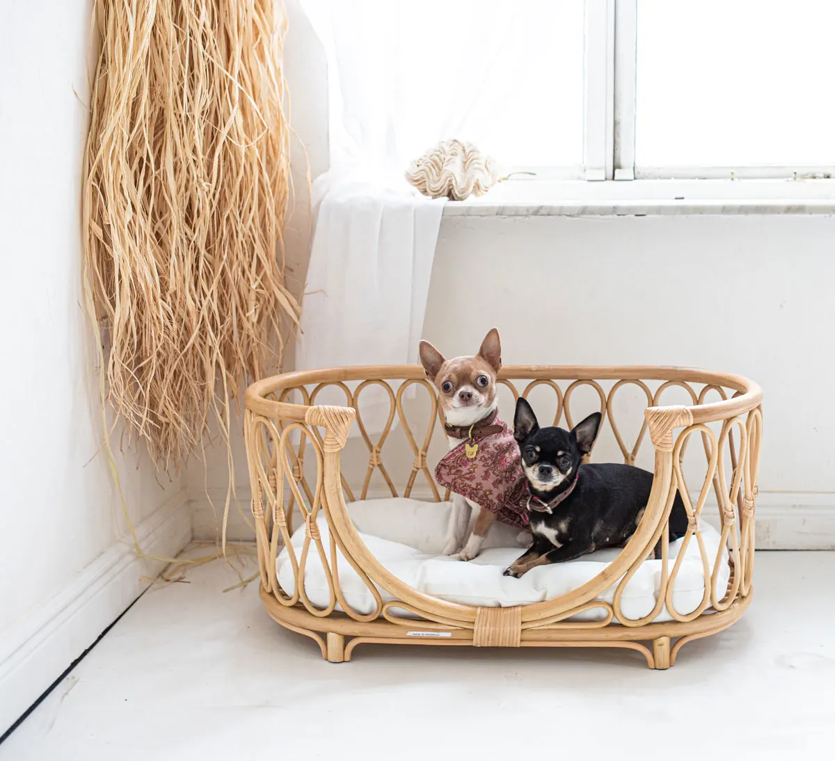 Modern Designer Rattan Dog Bed With Mattress Pillow Cheapest Rattan