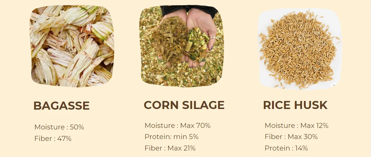 Exporting !! Rice Husk Ash With Best Price And High Carbon Buy Best