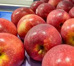 Organic Queen Apple Fresh Fuji and Gala Hybrid with Sweet Taste