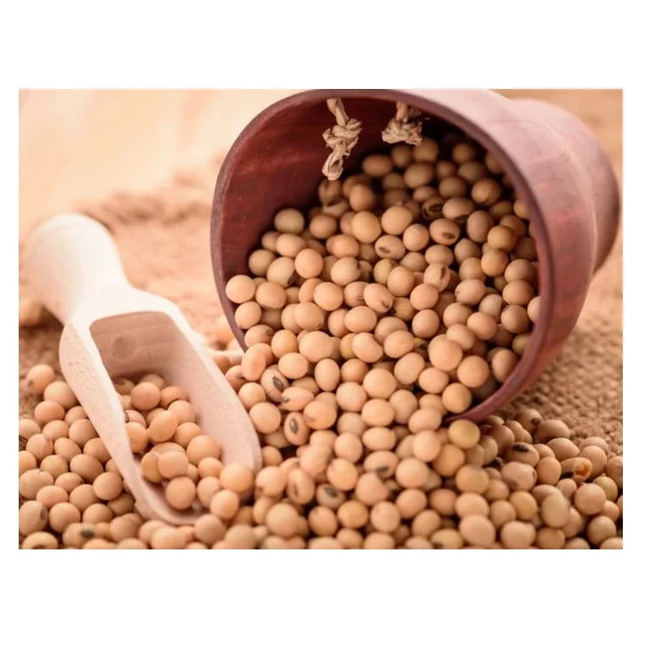 High Protein Yellow Soybean Soya Beans / Soy Bean For Sale Buy Wholesale Export American Cheap