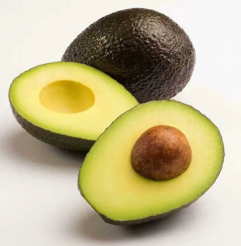 Fresh Avocado / Hass Avocado,Fuerte Avocado /usa Buy Hass Avocado