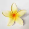 SC01