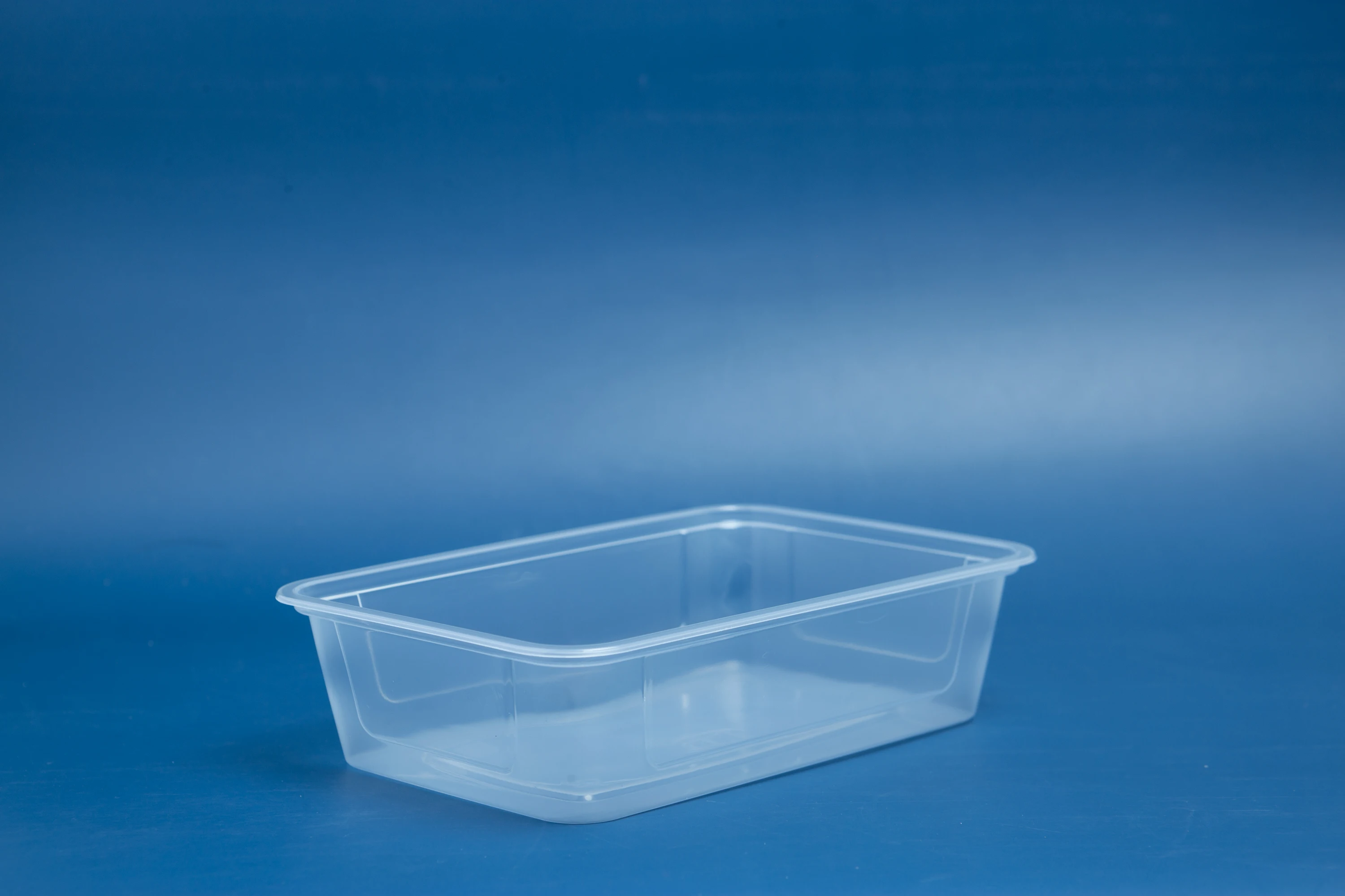Oem Disposable Rectangle Shape Plastic Box With Lid For Food Customized
