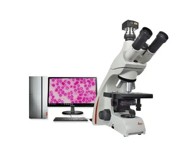 Germany Leica DM750 Laboratory Biological Trinocular Thermostat Microscope  for Veterinary