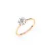 Rose d'or