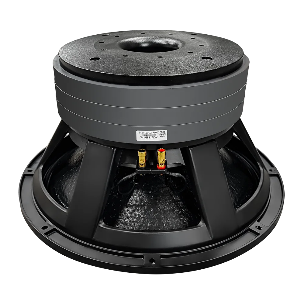 18 Inch Professional Big Power Subwoofer Outdoor DJ Loudspeaker 2000W 6