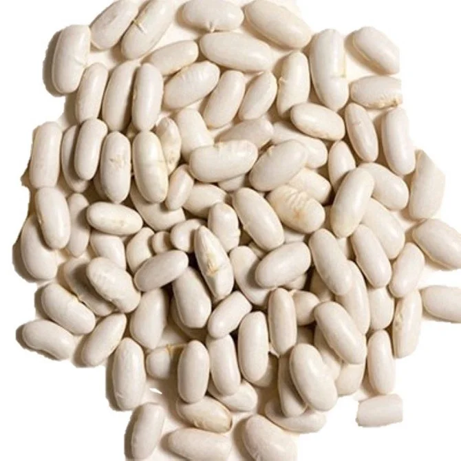 New Crop Wholesale Natural White Kidney Beans Hot Selling Dried Beans for Food Bulk Packaging