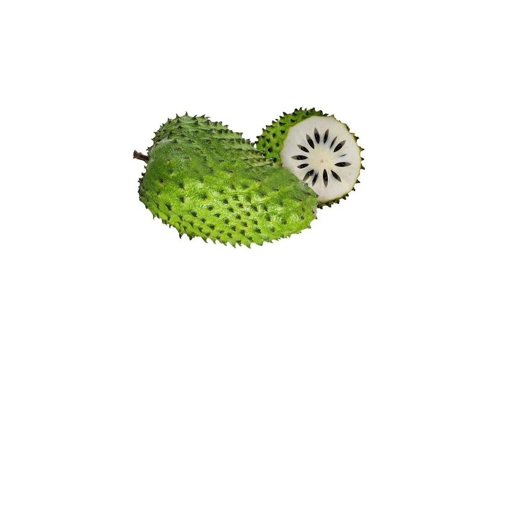 Fresh Soursop Guanabana Fruit With Juicy And Gelatinous White - Buy