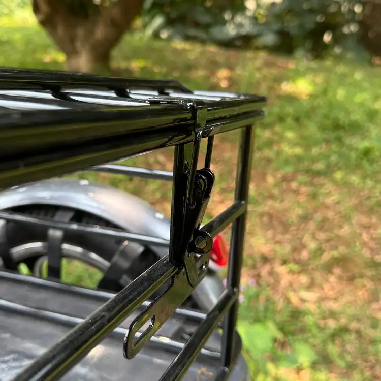 48v 350w Rear-Drive Foldable Cargo E-Trike Top Speed 25km/h 16 Inch Tire Electric Trike with Steel Body Open and Closed Type