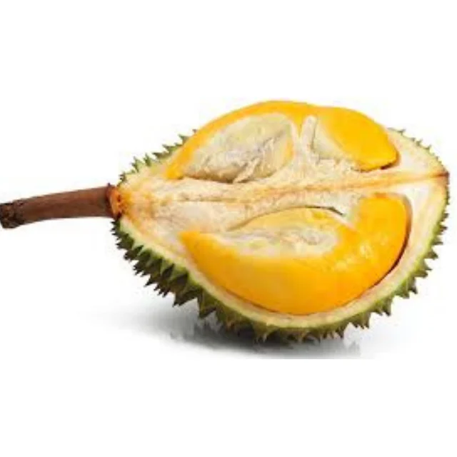 New Crop!!! The Best Quality For Fresh Durian Top Quality Durian From Vietnam Big Sale 15