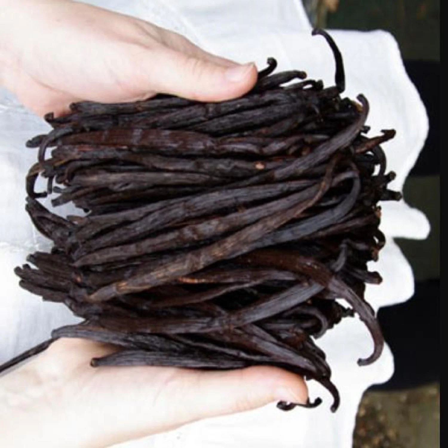 Madagascar Vanilla Beans Vanilla Beans Kg Vanilla Beans Dark Bulk Style