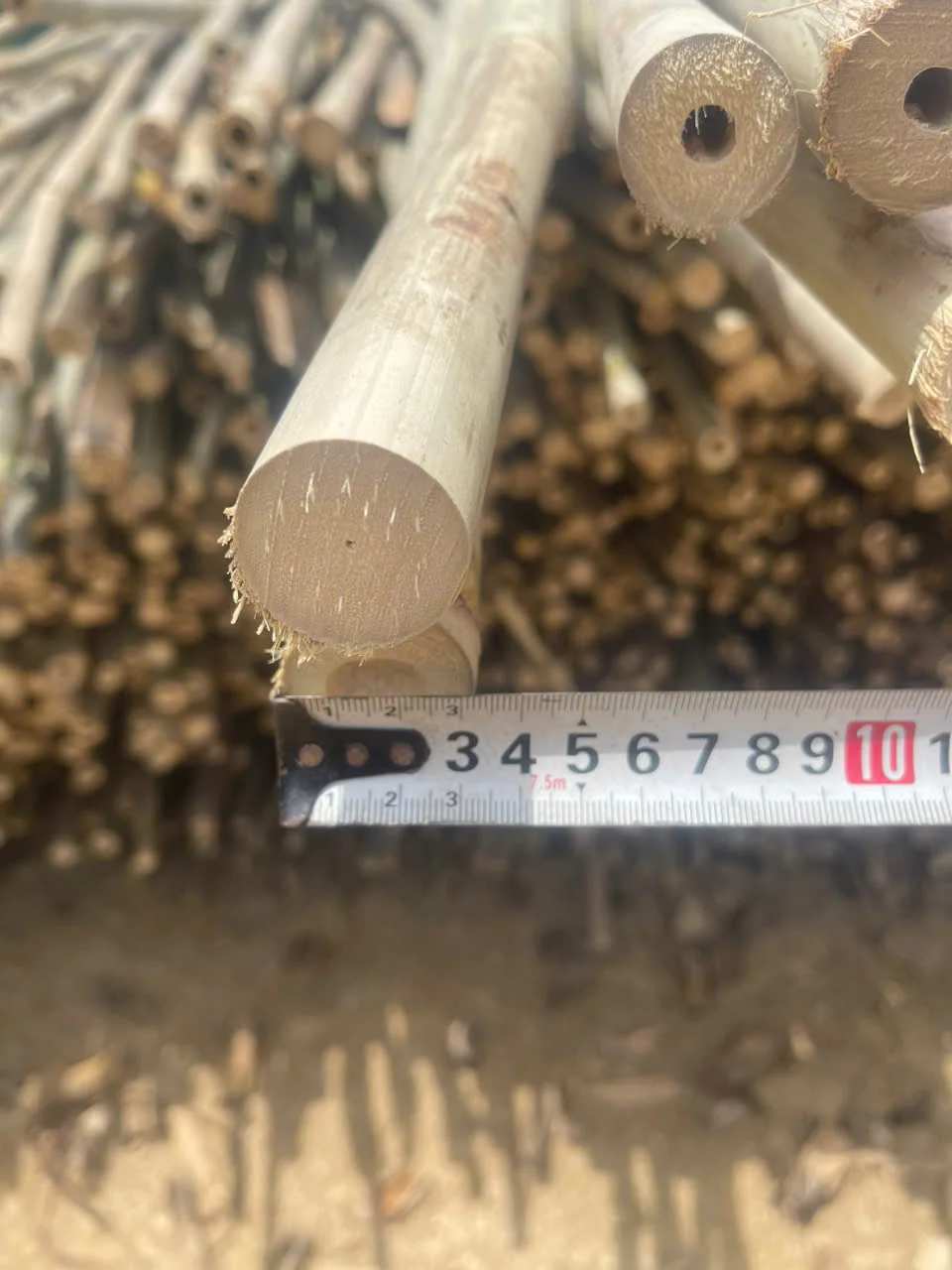 プレミアム高品質バンブーステークバンブーポールとバンブースティック