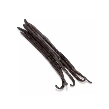 Wholesale Best Price Black Vanilla Beans / Madagascar Vanilla - Buy ...