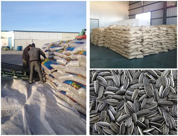 Sunflower Seed Ton Price Factory Supply Sunflower Seeds China Buy