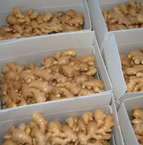 Fresh Ginger Buyer Dried Ginger Seeds Buy Fresh And Dried Ginger