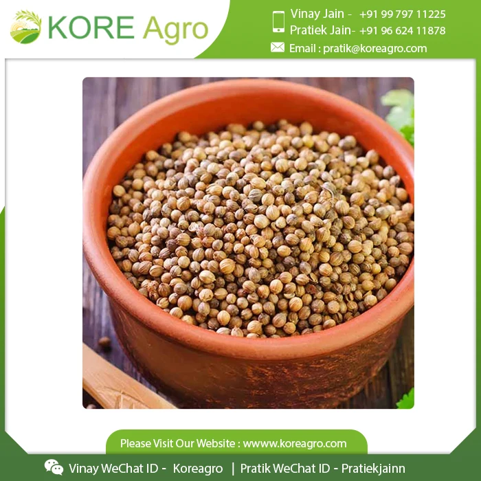 Culinary Spice Coriander Whole Dried Cilantro Spice Seeds Premium