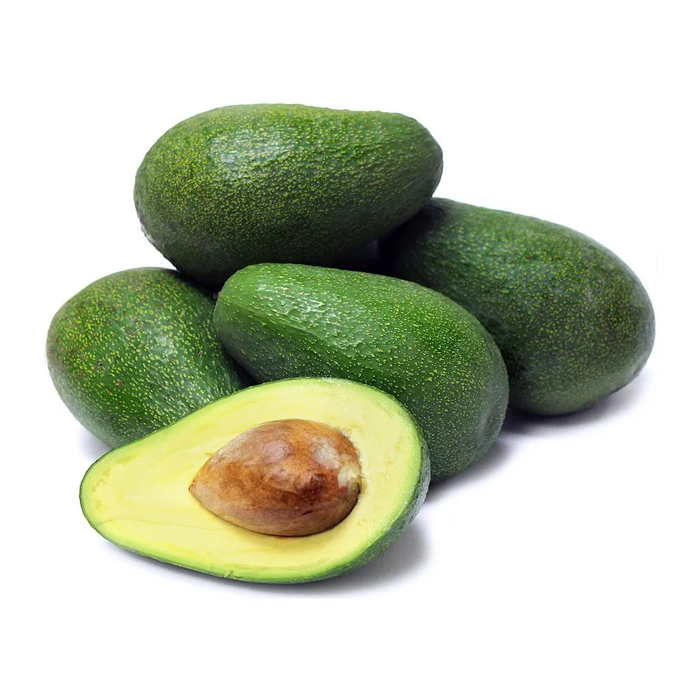 Fresh Avocado / Hass Avocado,Fuerte Avocado /usa Buy Hass Avocado