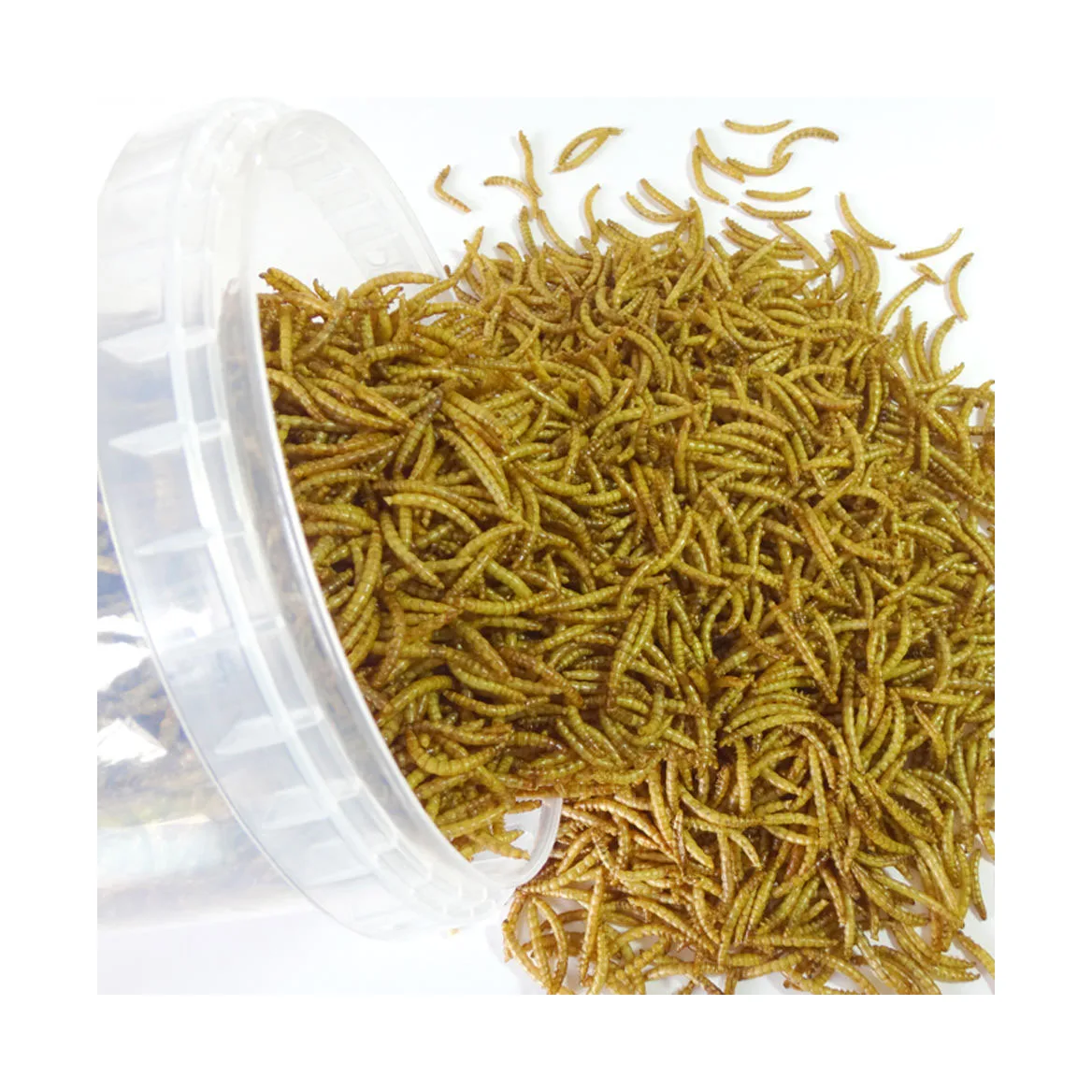 Dried Mealworm For Bird,Yellow Dried Mealworms Yellow Wholesale High