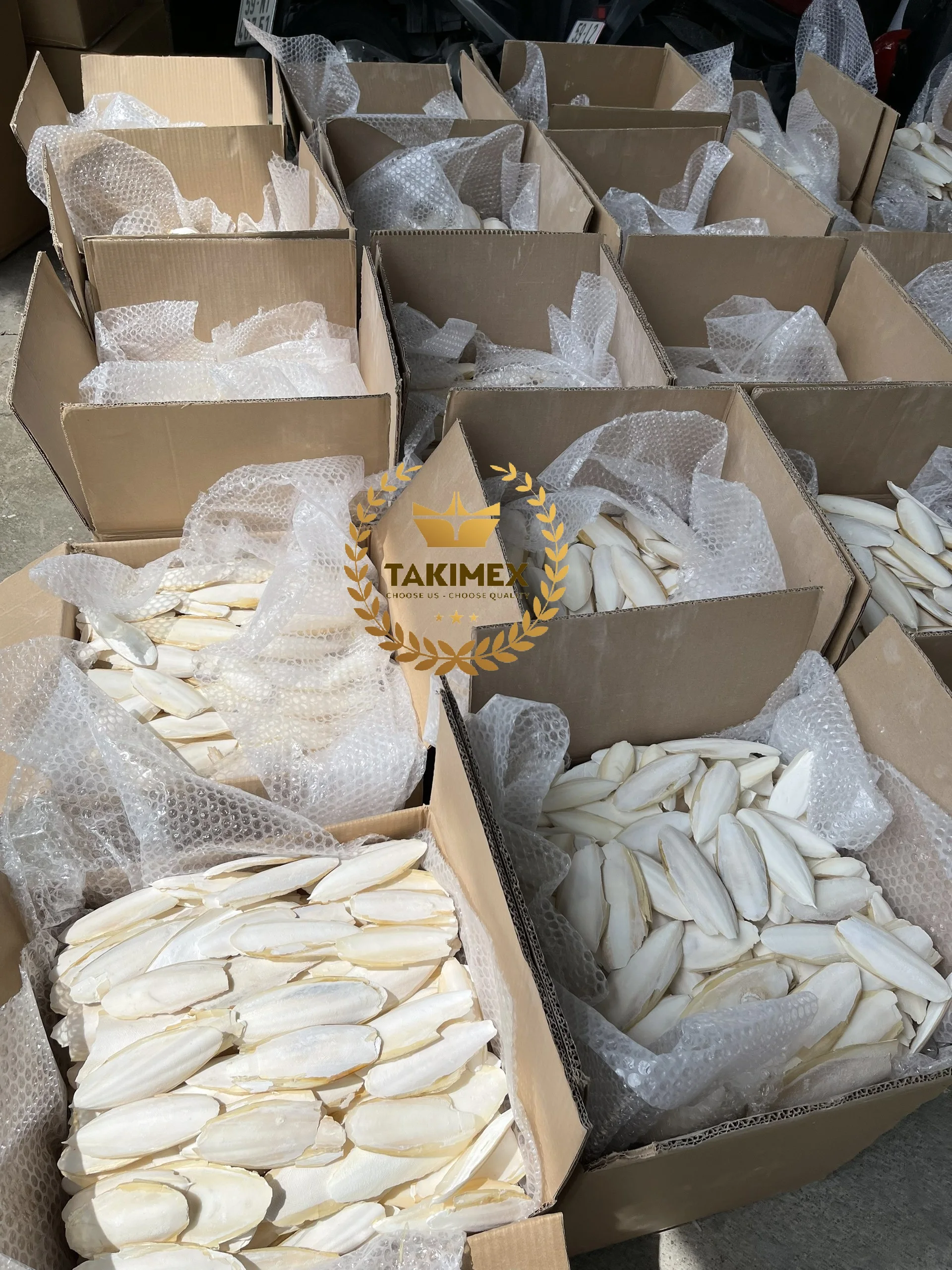 Extra Large Cuttlefish Bone For Birds And Reptiles Tortoise Food Wholesale From Vietnam Takimex