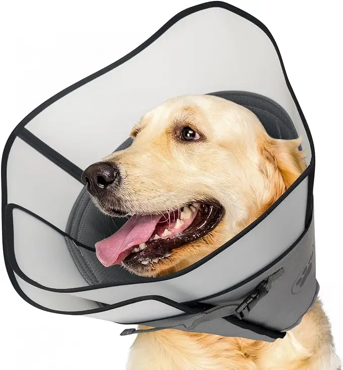 Yee Dog Recovery Collars Prevent Licking and Scratching
