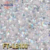 FT-LB100