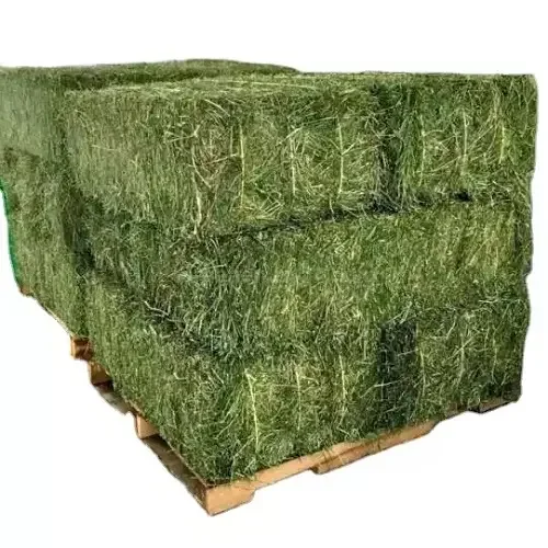 PREMIUM HOT SELLING Alfalfa Hay Pellets AVAILABLE NOW