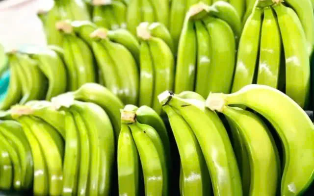 Natural High Quality Green Cavendish Banana Wholesale Top Grade Bananas Best Price Fresh Bananas
