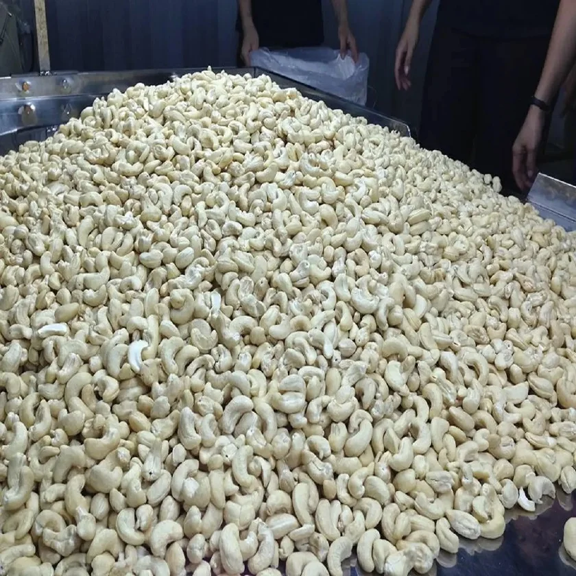 Top Grade Wholesale Dried White Cashew Nuts Vietnamese Roasted Cashew Nuts Good Quality Organic Raw Cashew Nuts For Sales