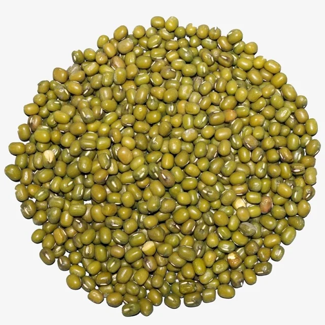 Green Mung Beans / Vigna Mung Beans Premium Quality Conventional