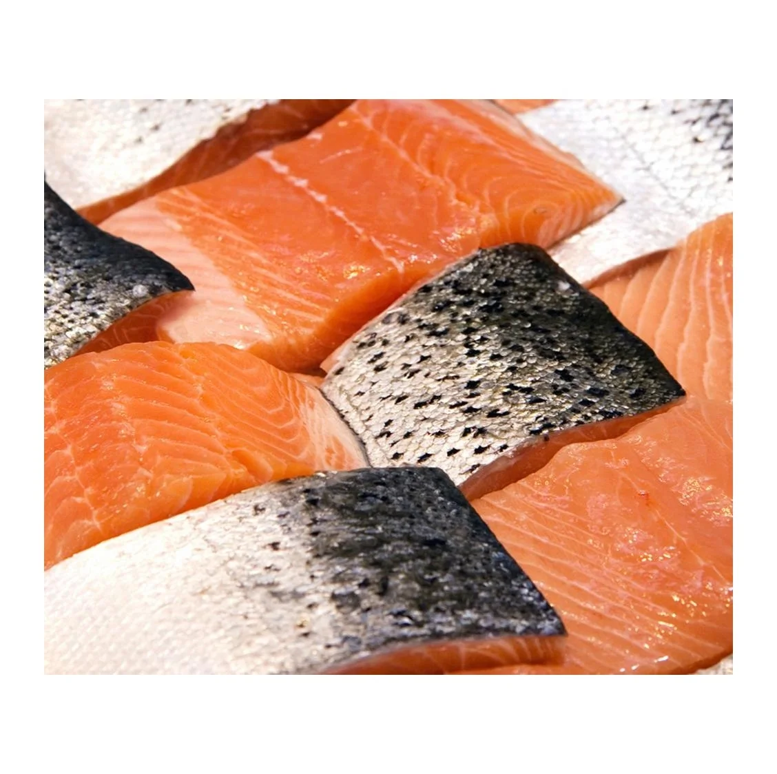 Salmon Fish Frozen Fillet Fresh And Frozen Atlantic Salmon Fish/whole
