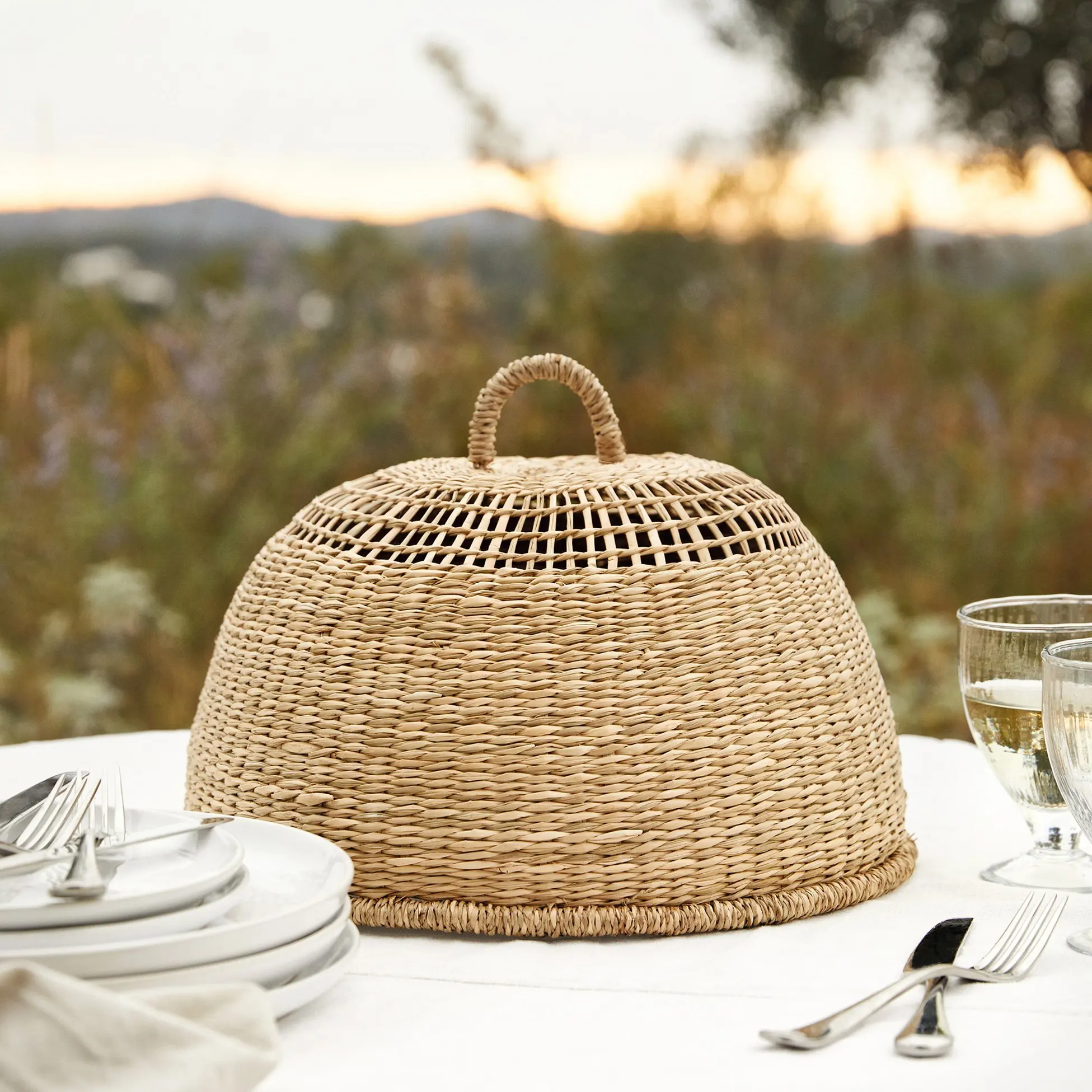 Handmade Food Tray With Mesh Net Cover 